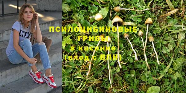 apvp Абаза