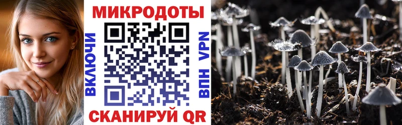 omg ссылки  Лангепас  Галлюциногенные грибы Psilocybe 