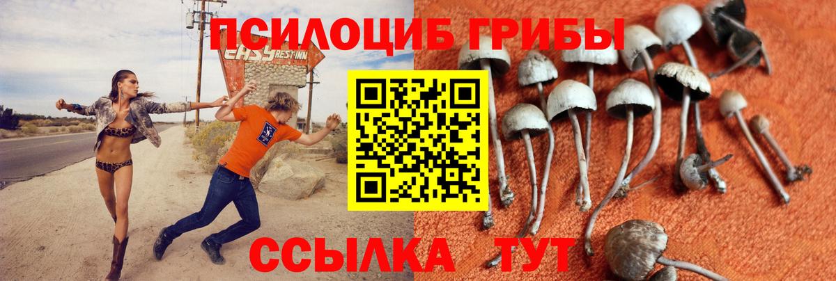 Псилоцибиновые грибы мухоморы Лангепас